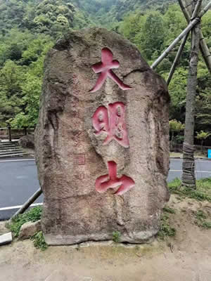 公司组织员工旅游